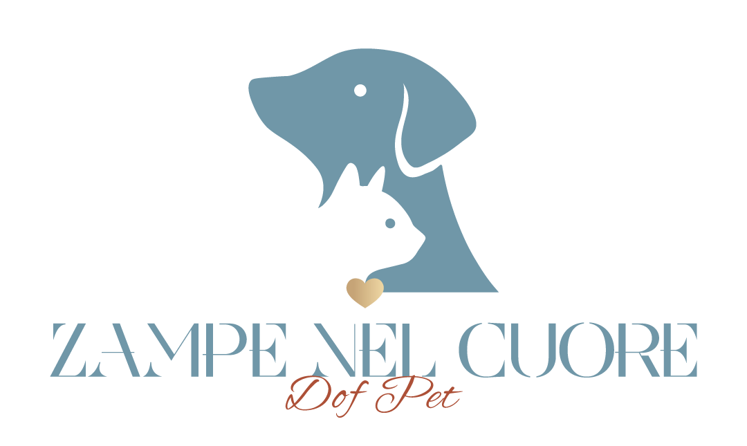 Zampe nel Cuore